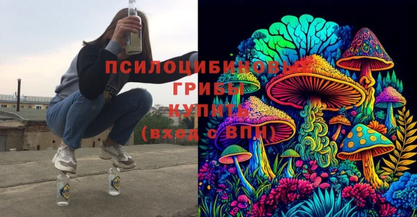 spice Гусь-Хрустальный