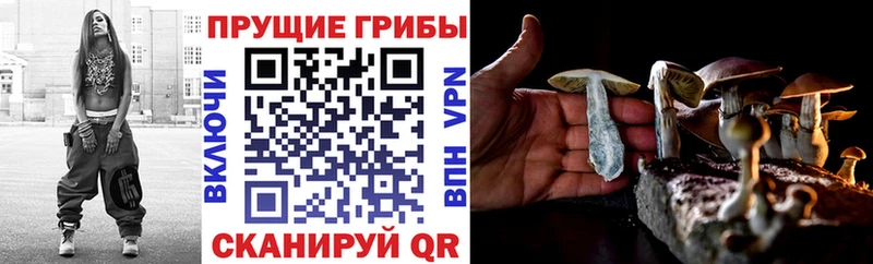 дарнет шоп  Бугуруслан  kraken вход  Псилоцибиновые грибы MAGIC MUSHROOMS 
