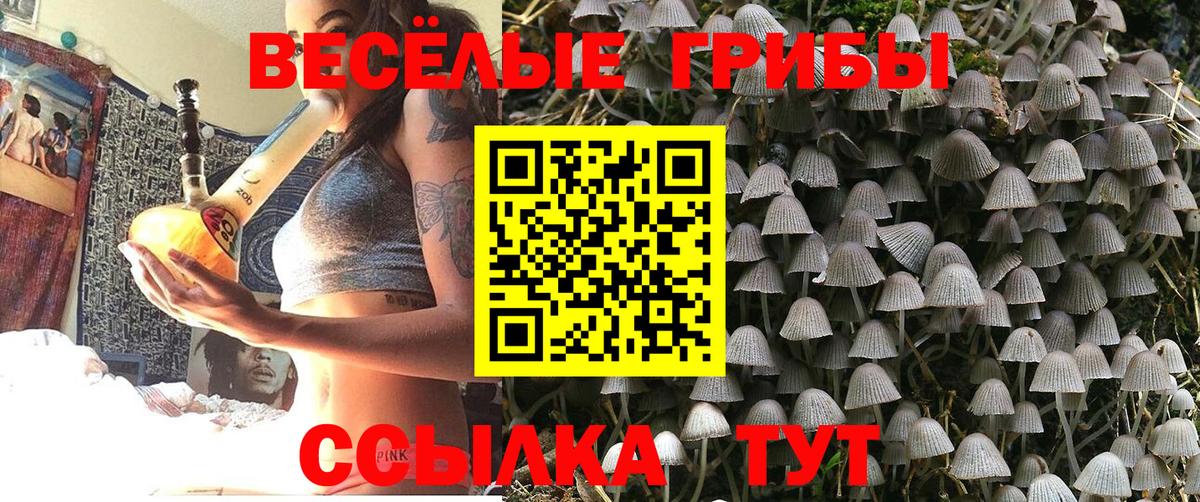 Галлюциногенные грибы мухоморы  Галлюциногенные грибы GOLDEN TEACHER  Бугуруслан  Вход с VPN 