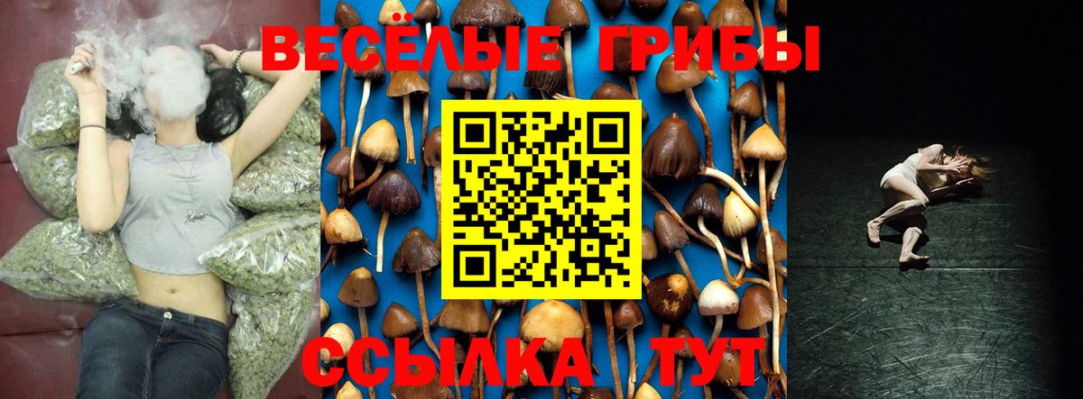 Псилоцибиновые грибы GOLDEN TEACHER Бугуруслан