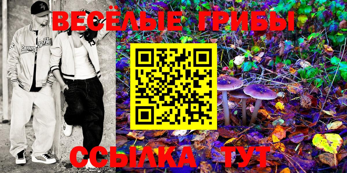 Галлюциногенные грибы прущие грибы  Бугуруслан 