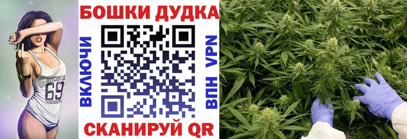 Каннабис индика  Бугуруслан 